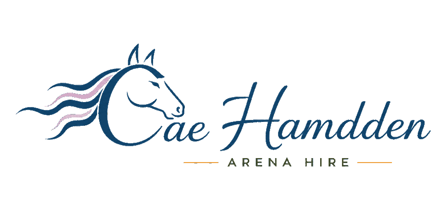 Cae Hamdden Arena Hire