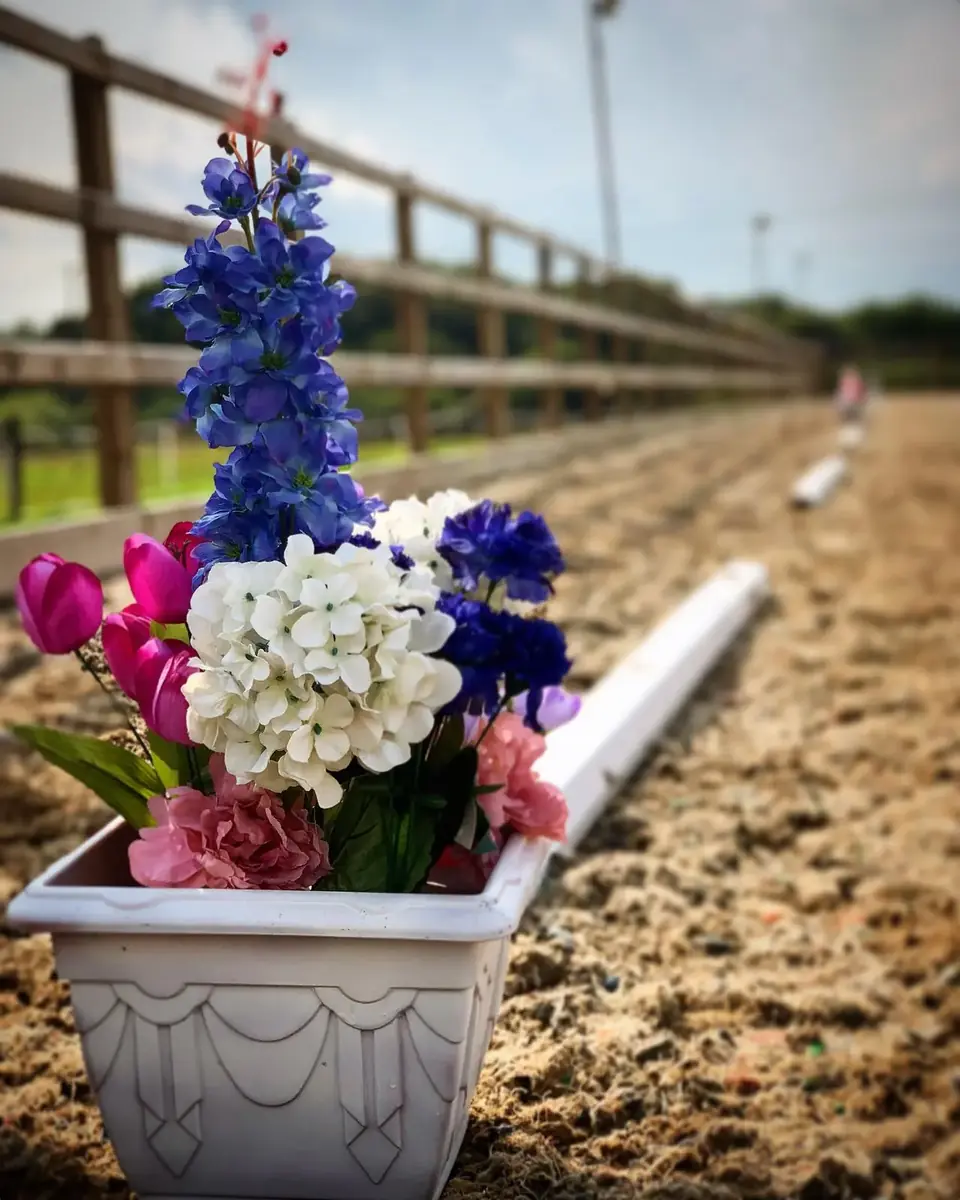 Dressage flowers and boards beside the arena track