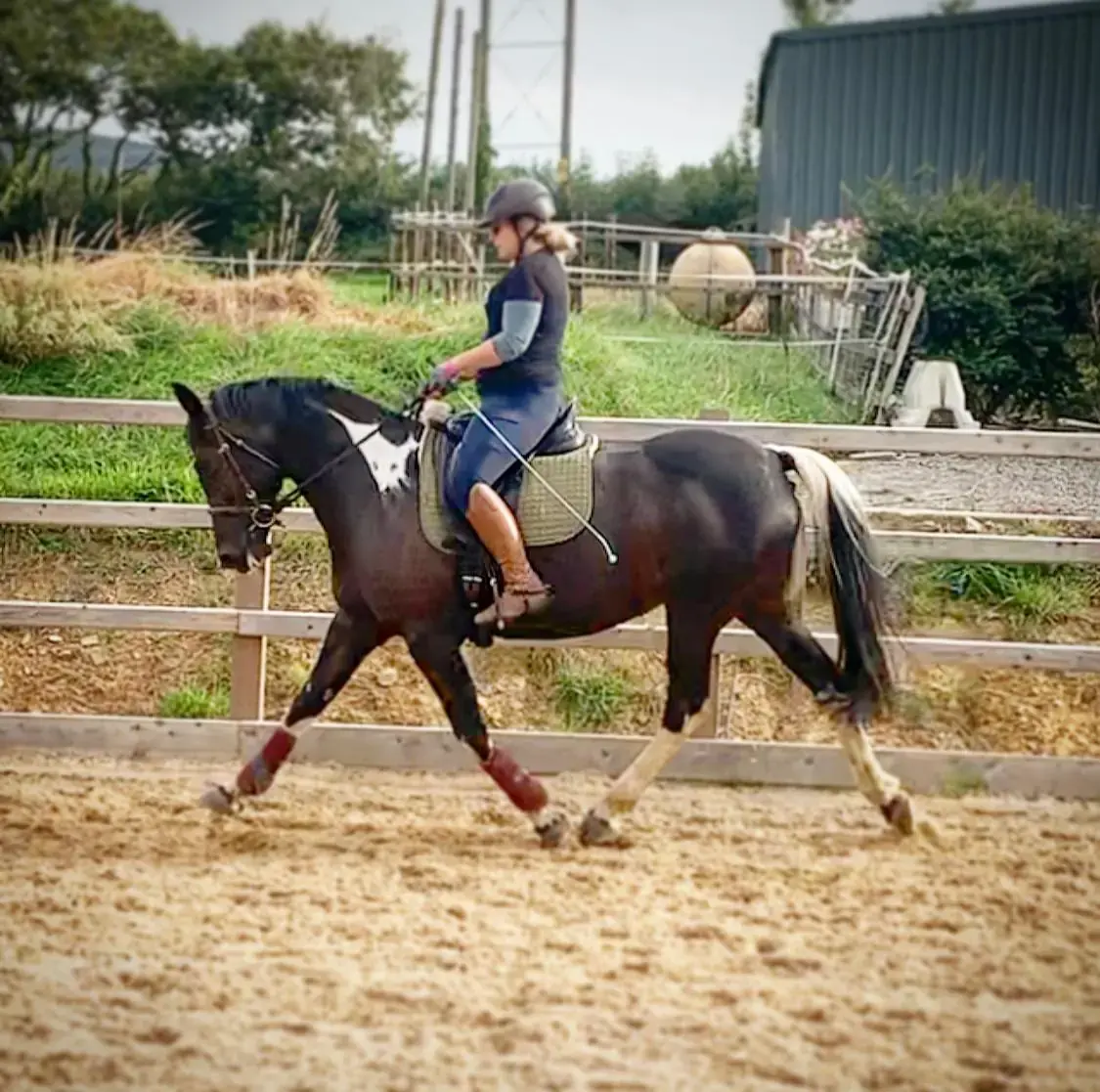 Horse and rider schooling in Cae Hamdden Arena