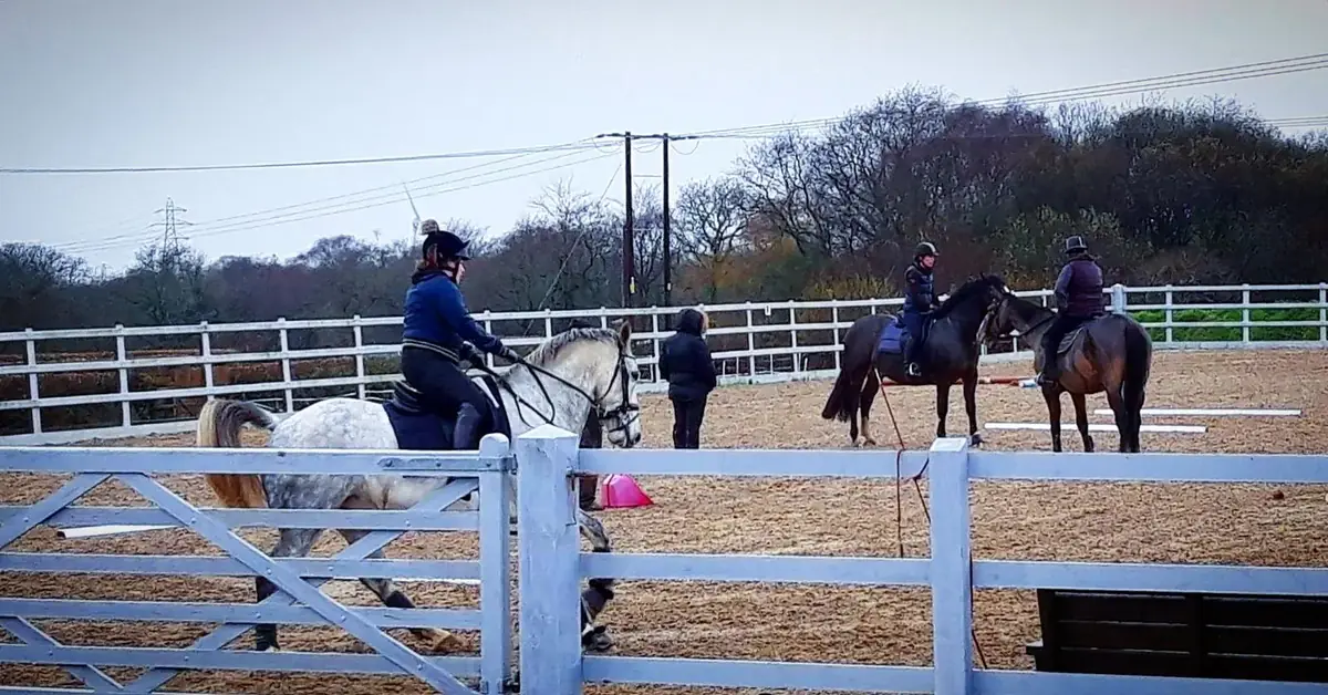 Several riders taking part in a group arena session
