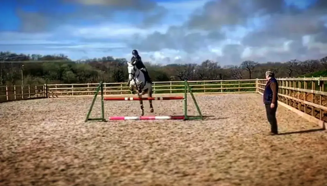 Horse and rider jumping during a lesson